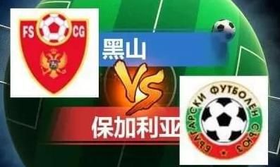 伊人啪啪网